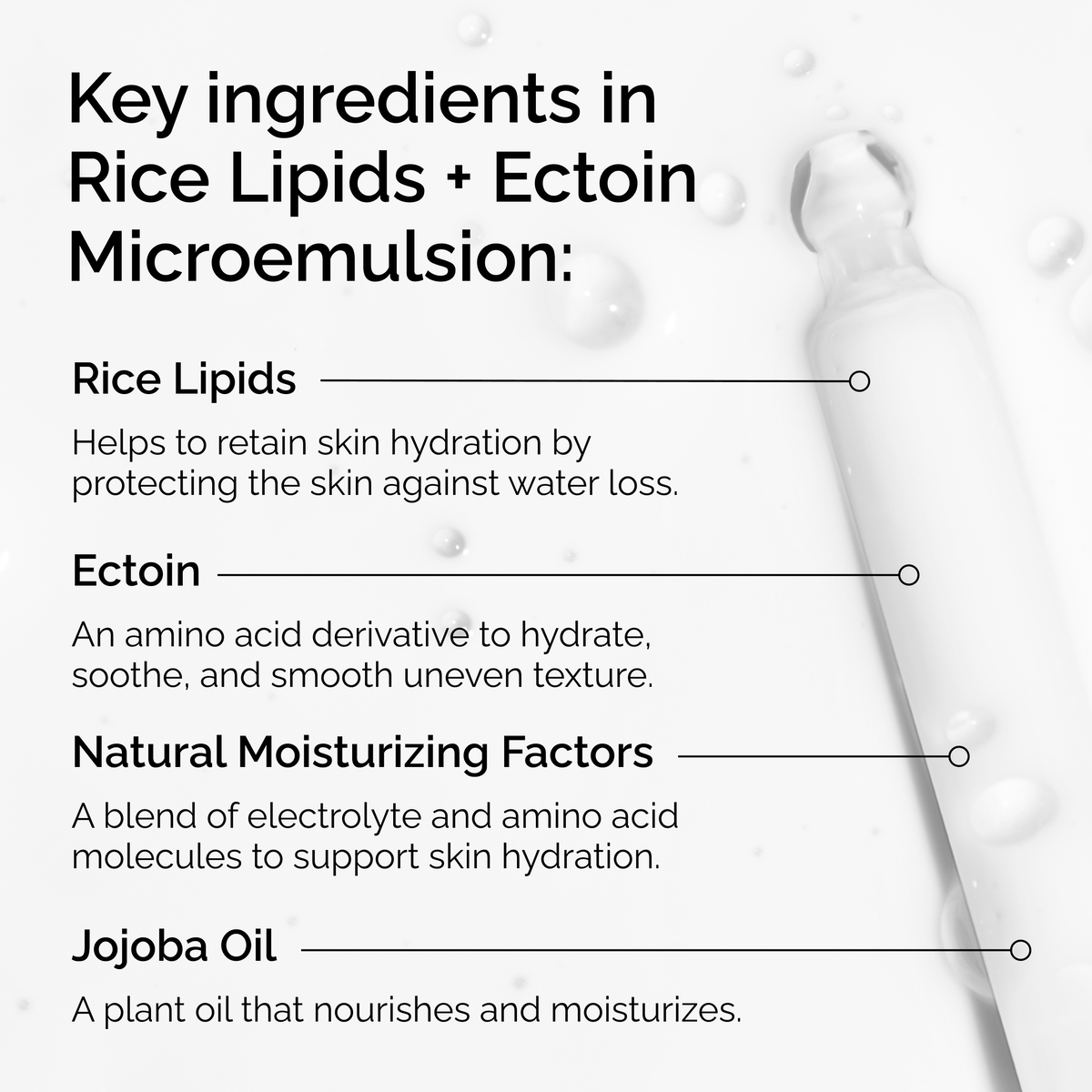 Rice Lipids + Ectoin Microemulsion Curated Care Set C6